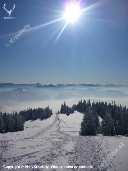 Chleb v pozadi  V.Fatra