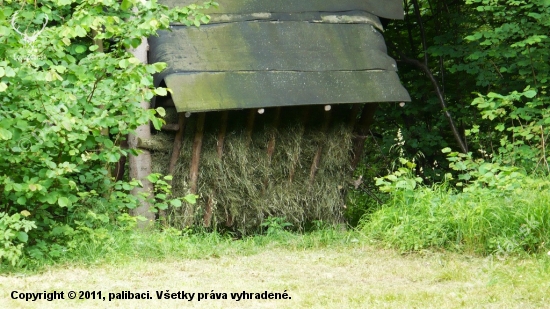 Takto bol krmelec naplnený.30.6.2010.