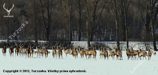 nastal zmätok...