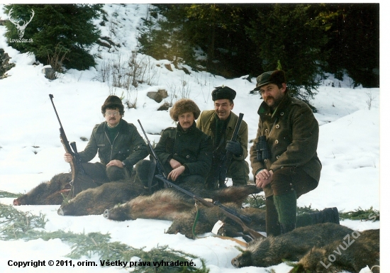 Lopušná 1993