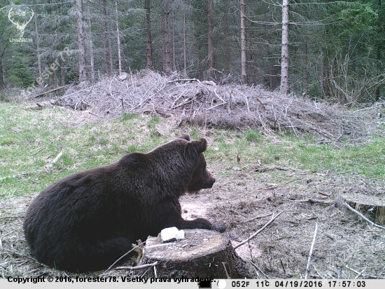 Cakanie na vysoku