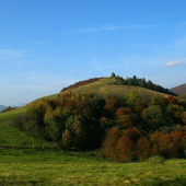 Šibeny harbek