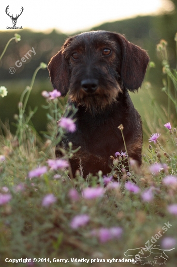 Sindy *ROXY* Jasenovské vodopády