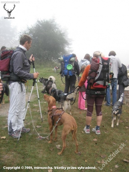 ...nas prvy DOG TREK - 98km...vysledok: 1.miesto, 13hod16min