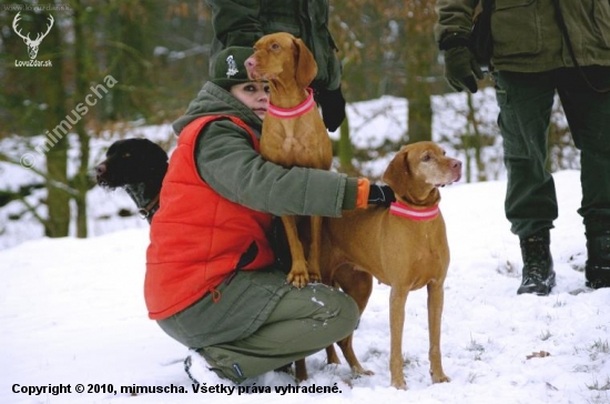 ...pocut klapacky honcov, zacinaju lietat prve bazanty...