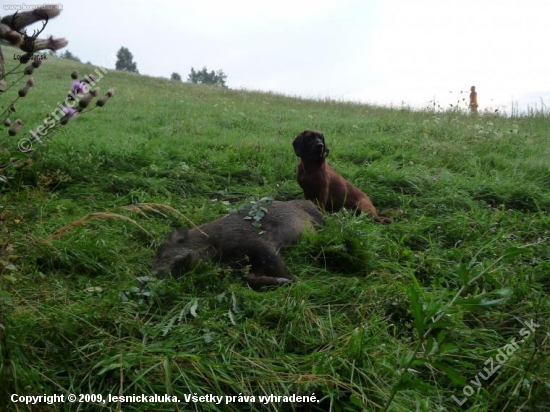 Deviata úspešná dohľadávka tejto sezony Gero Lesnícka lúka.