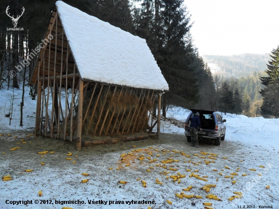 Dneskajšia brigáda+prikrmovanie