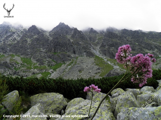 Spomienky na V. Tatry