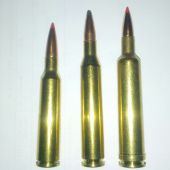 6,5x55SE Hornady GMX/25-06 Rem. Hornady BTSP/257WbyMag Hornady GMX