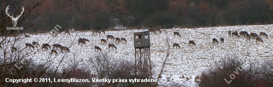 Pár metrov od dediny