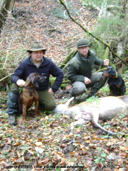 Rok 2010 jedna z uspesnych dohladavok(a hlavne spolupraca farbiara s kopovom)