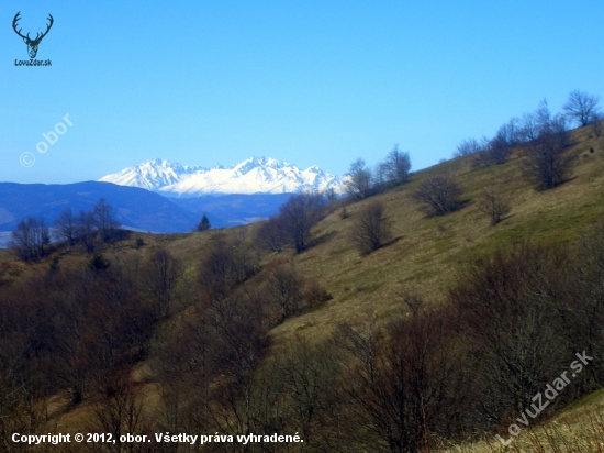 Pohlad na Belianské Tatry