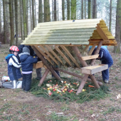 Takhle Poštolky zvířátkům prostřely vánoční stůl