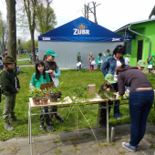 Stanoviště bylin, listů a větviček stromů