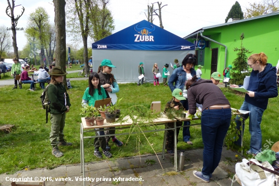 Stanoviště bylin, listů a větviček stromů