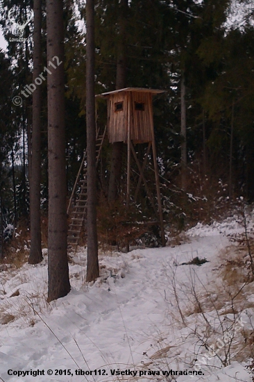 ...výsledok nášho snaženia