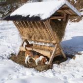 postavil som ho sam ako nepolovnik