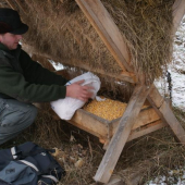 už bolo treba  poľovnici nemaju čas