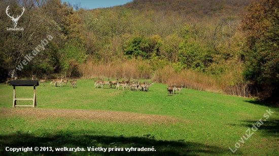 Obedné príjemné prekvapenie