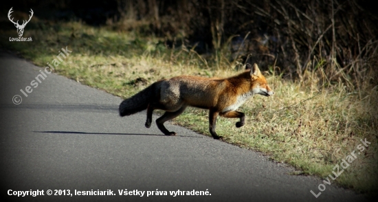 ...pocestná...