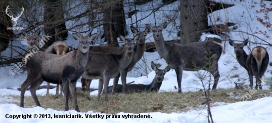 ...keď im chutí...