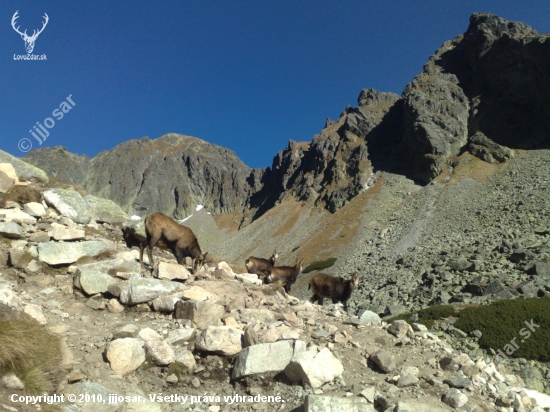 v.tatry