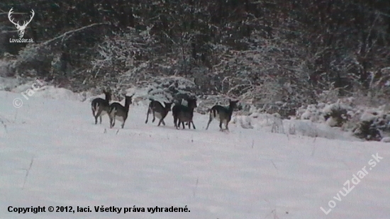 Danielky na úteku