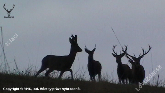 štyria na jedného