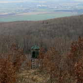 Tu pod lesmi začina Vychodoslovenská nížina