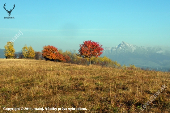 Prechádzka 1.11 2011