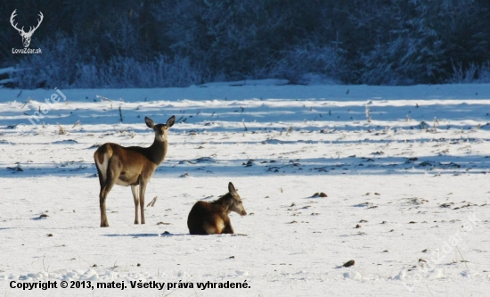 Vysoká v zime