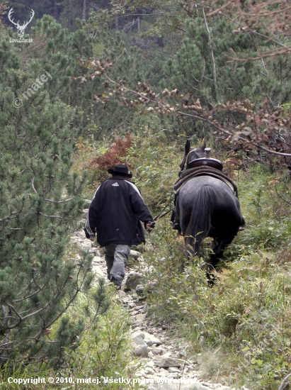 Na horskom chodníku