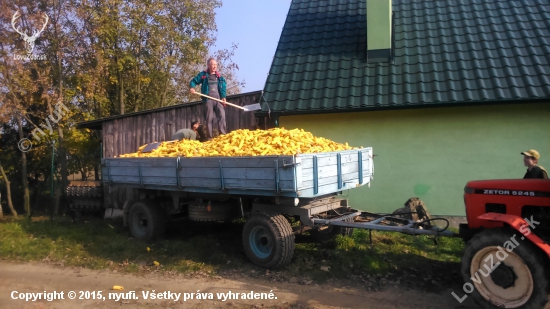 chystali sme na zimu