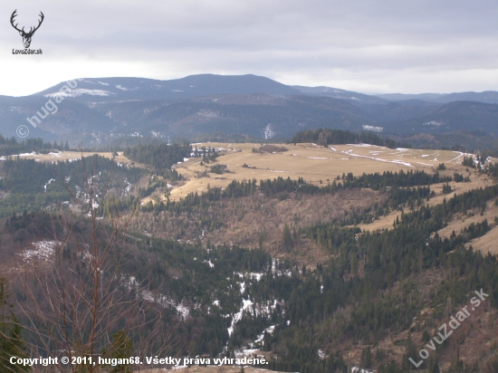 poľana