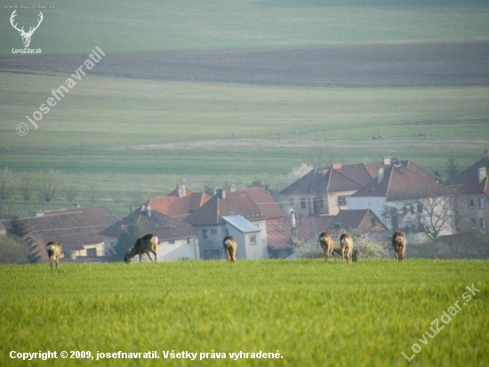 Konečně jaro.....