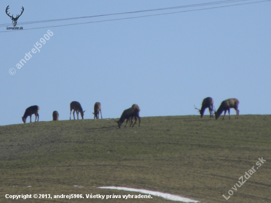 Na horizonte