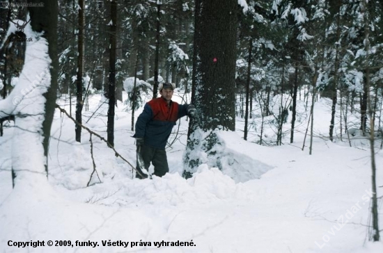 najprv odhádzať sneh a potom rezať