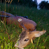 Necakana zivotna raritka