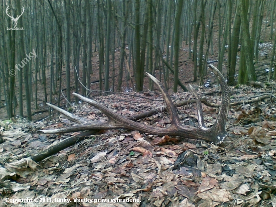 Prvý tohto roku - 2,43 Kg.