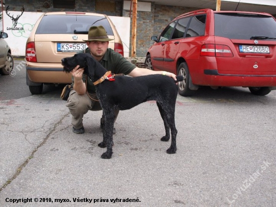 Ambra, z výstavy v Prešove tr. mladých - VD