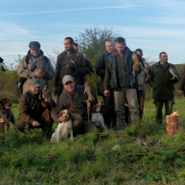 Sokoliarske lovy - Kostolné 2011