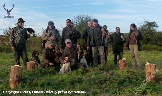 Sokoliarske lovy - Kostolné 2011