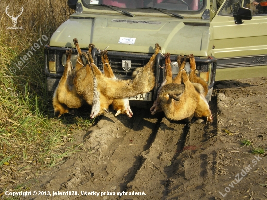 U kamaratov na polovacke na bazanty