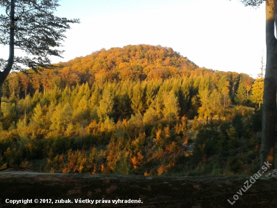 podvečer na štande