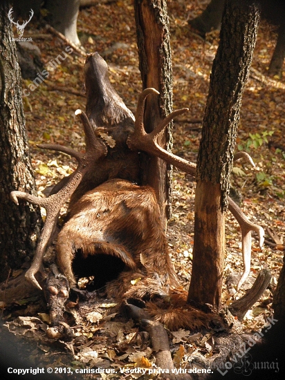 Smutný koniec