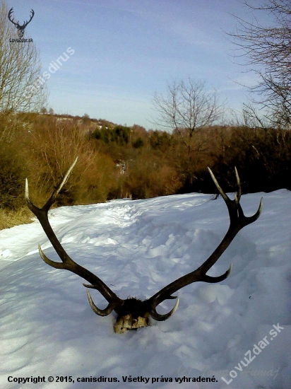 Vždy sa nájde