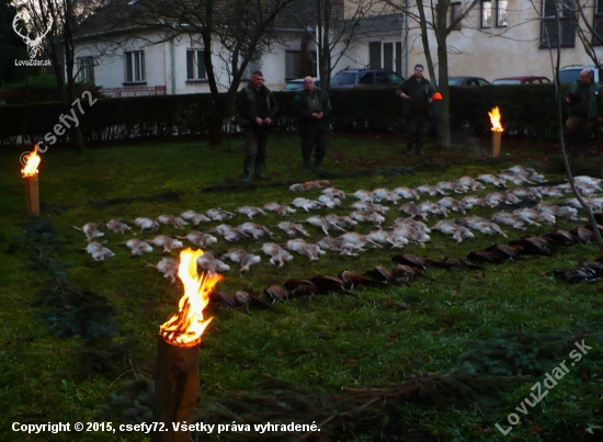 Spoločná 05.12.2015