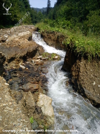 Vymita cesta v doline