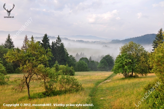 Ranné prebúdzanie