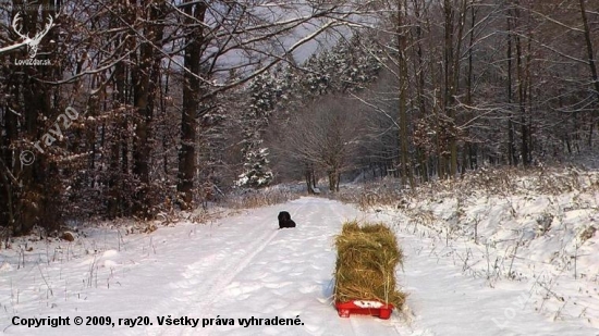 využitie snežného skútra BOBY v reviroch stredneho slovenska